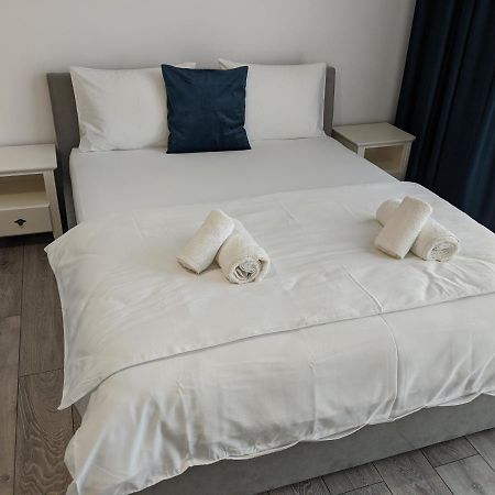 Alina'S Deluxe Apartment And Free Private Parking Dumbravita  Екстер'єр фото