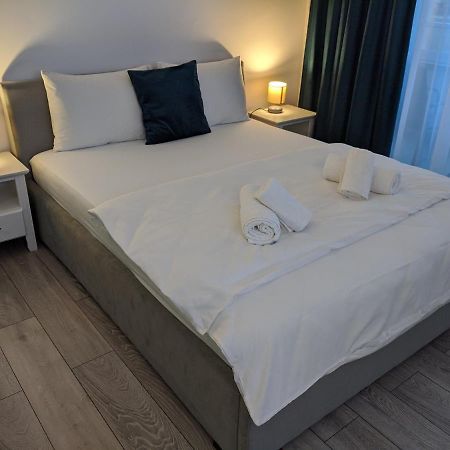 Alina'S Deluxe Apartment And Free Private Parking Dumbravita  Екстер'єр фото