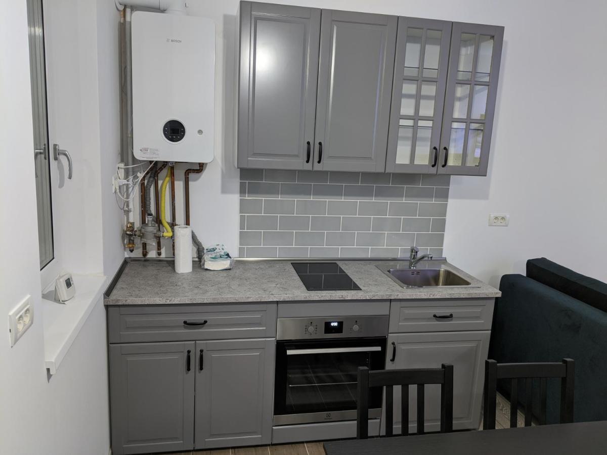 Alina'S Deluxe Apartment And Free Private Parking Dumbravita  Екстер'єр фото