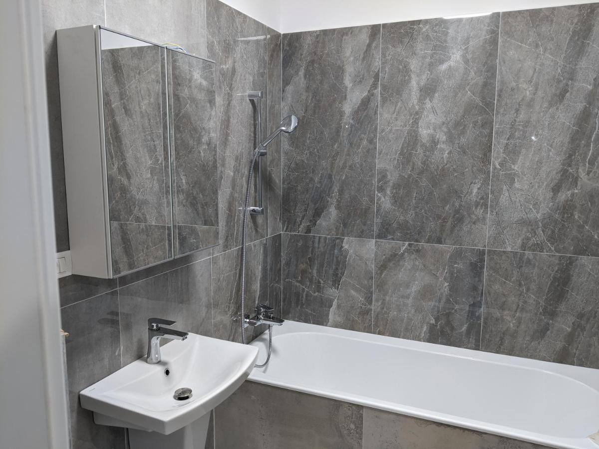 Alina'S Deluxe Apartment And Free Private Parking Dumbravita  Екстер'єр фото