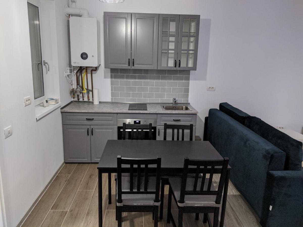 Alina'S Deluxe Apartment And Free Private Parking Dumbravita  Екстер'єр фото