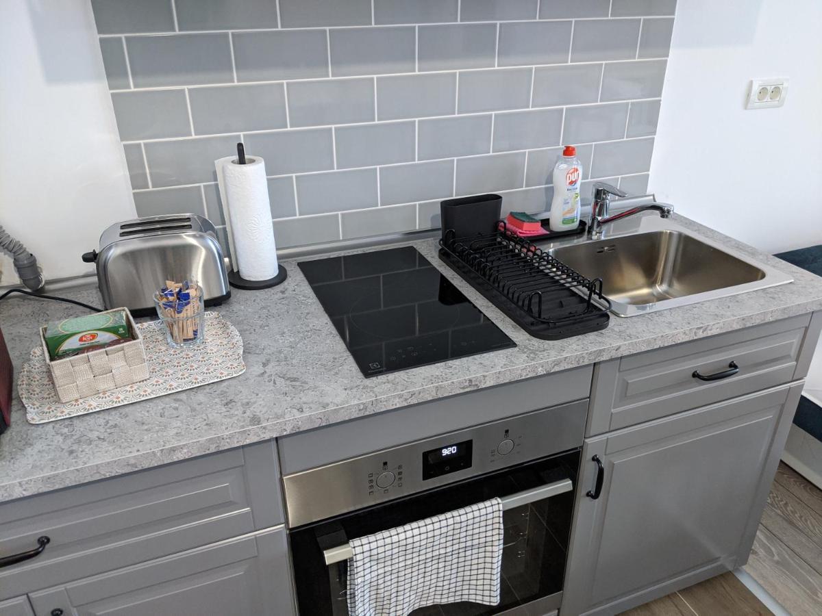 Alina'S Deluxe Apartment And Free Private Parking Dumbravita  Екстер'єр фото