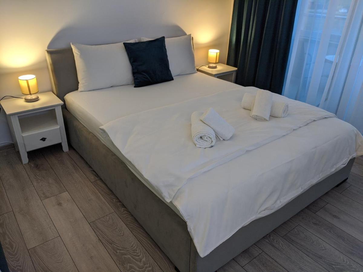 Alina'S Deluxe Apartment And Free Private Parking Dumbravita  Екстер'єр фото